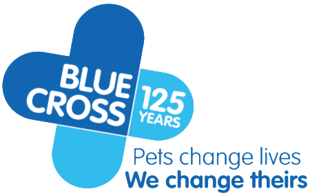 Blue Cross Pet Bereavement Support