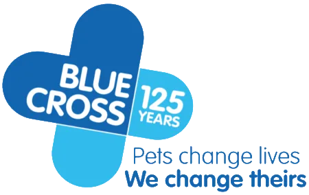Blue Cross Pet Bereavement Support